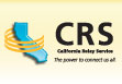 Click on this CRS logo to learn more about the California Relay Service and how dialing 711 connects people who are Deaf to hearing callers.