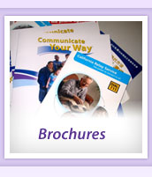 This is a photograph of some DDTP brochures. Click on this image to find out what materials are available to download from this website.